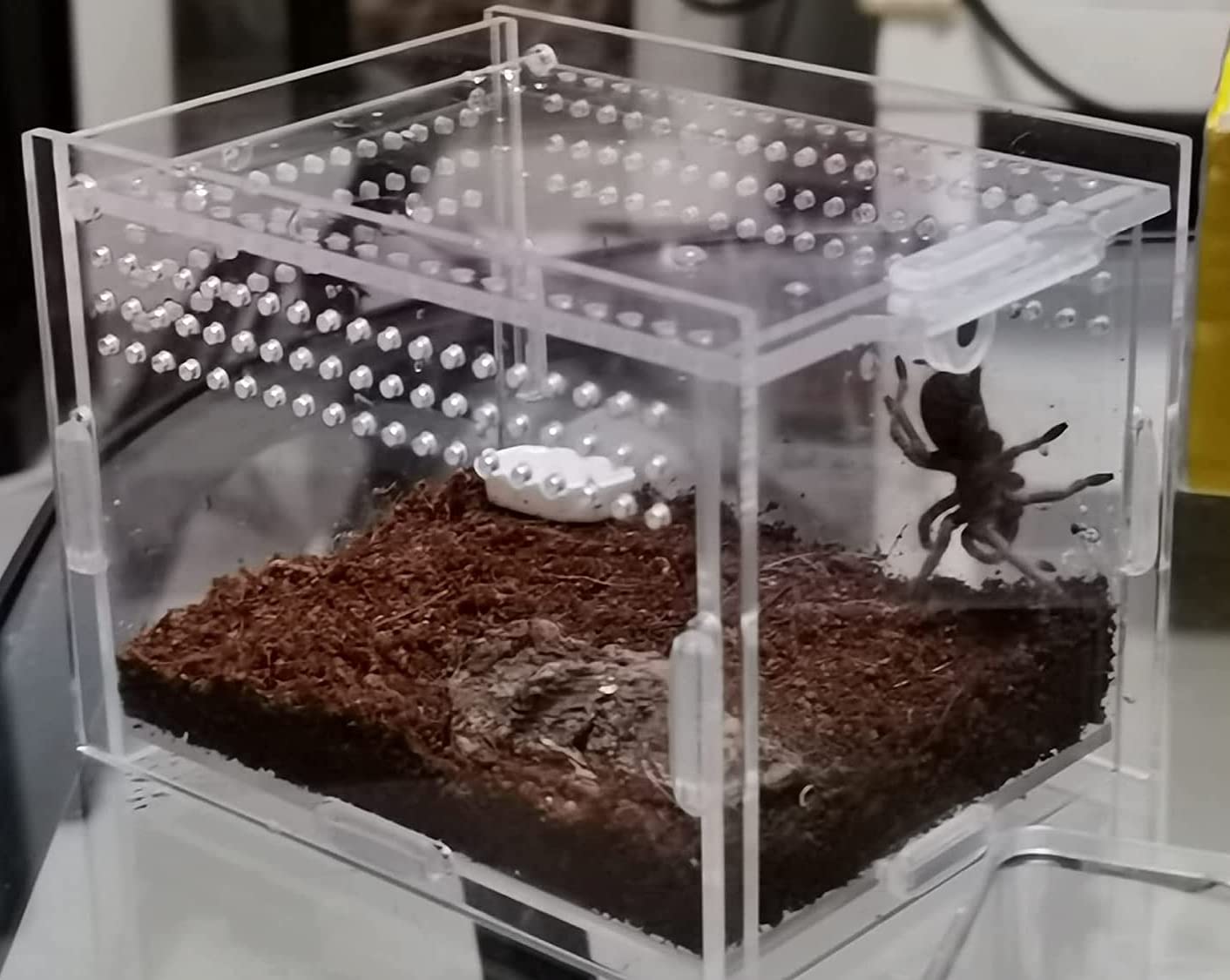 AWXZOM Magnetic Acrylic Case, micro habitat small Tarantula Enclosure enclosure for arboreal Tarantula Scorpion Sling Lizards Ma